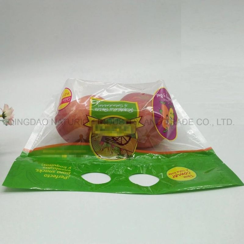Plastic Laminated Fruit Packing Bag with Hand Hole