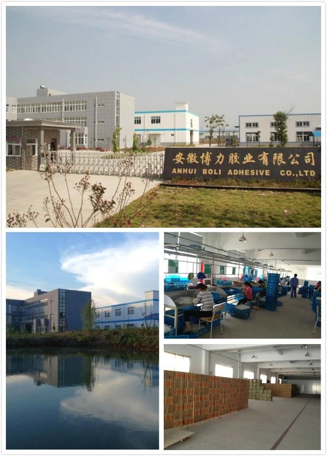 China OEM Factory High Quality Different Size HDPE Plastic Bottle