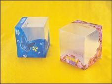 3D Packaging Box, Lenticular 3D Plastic Packaging Box, Lenticular Plastic 3D Box for Packaging