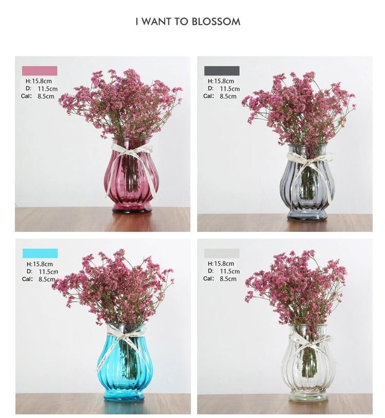 Hot Selling 15.8cm Lantern Shaped Wide Mouth Glass Vase for The Art of Inserting Flowers