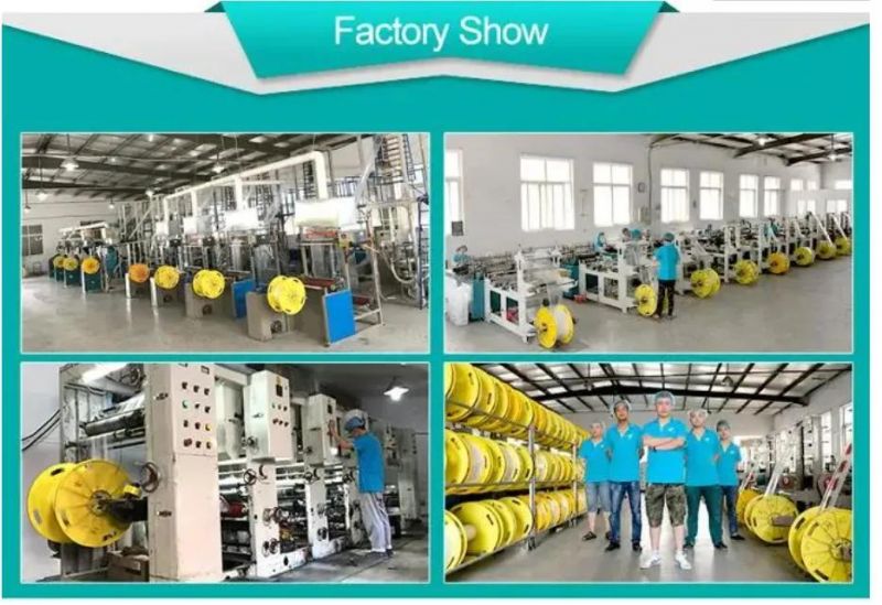 Food Packaging Storage PE Flat Open Bag Sandwich Cookie Packing Plastic Bag