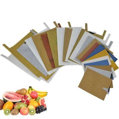 China Manufacturer Fruit Pomegranate Protection Bag/Mango Fruit Protection Bag