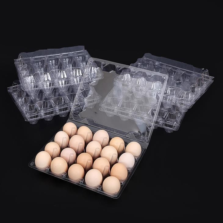 15 Holes Clamshell Clear Plastic Egg Tray for Supperment Egg Packaging