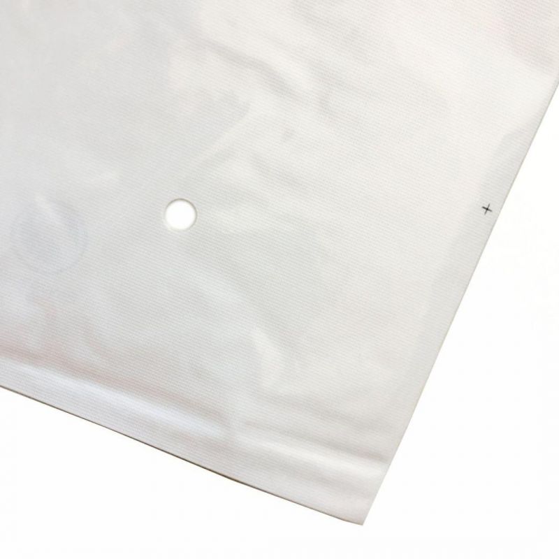 PE Plastic Zipper Bags for Clothing Packaging Bags Poly Bag OEM