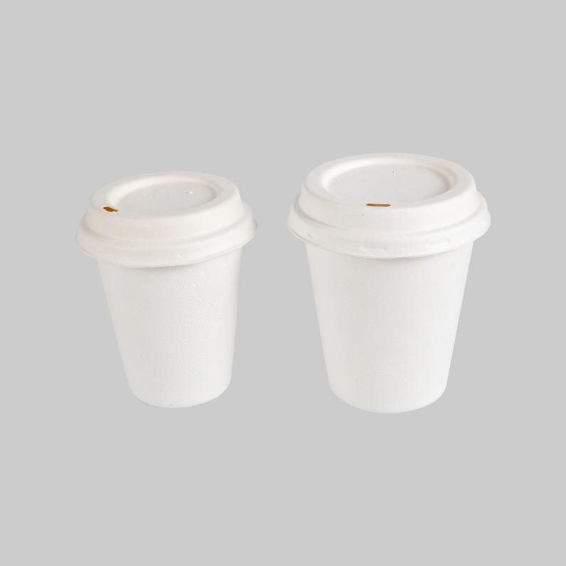 Custom 8oz 12 Oz 16oz Compostable Eco Friendly Sugarcane Bagasse Single Wall Disposable Paper Coffee Cup Hot Biodegradable Drink Cup