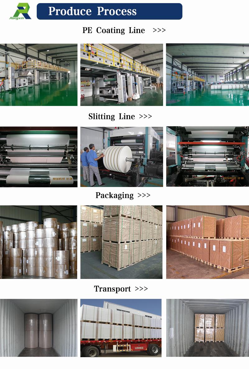 Single Side PE Coated Paper for Packaging