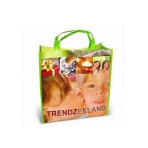 PP Woven Cloth Bag for Promotion (YH-PB102)