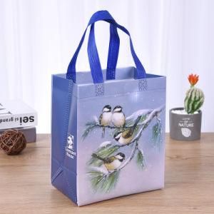 Customized New Design PP Nonwoven Bag Laminated Non Woven Colorful Bags