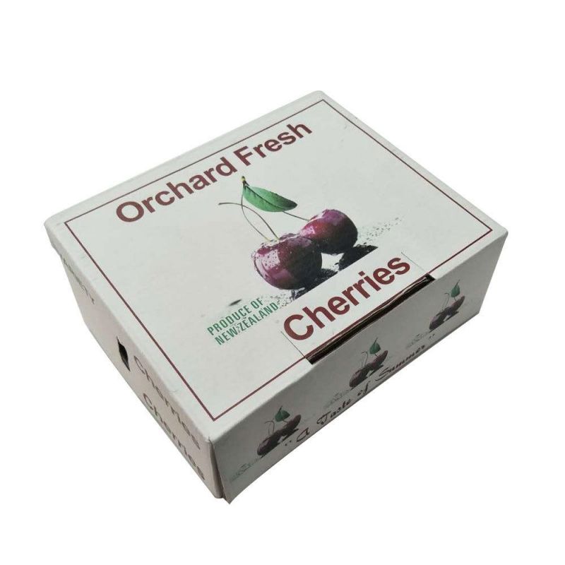 Custom Packaging Printing Fruit Cherry Paper Boxes for Packing