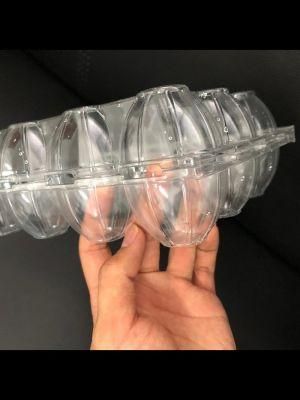 Plastic 4X3 Bi-Fold Egg Carton Pet/PVC Clear Box Blister Packaging
