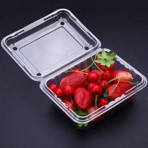 Cherry Blueberry Plastic Disposable Fruit Packaging Container