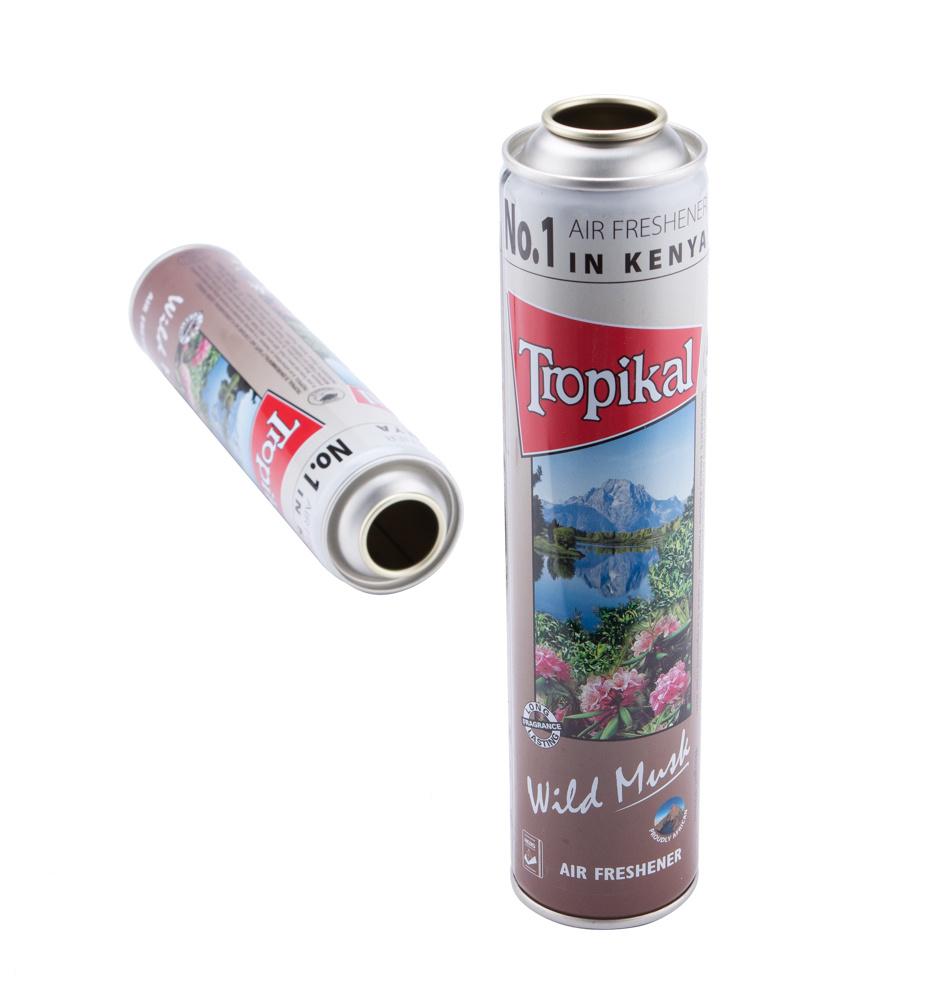 Exquisite Tinplate Aerosol Can for Cosmetics Packaging Sunblock Moisturizing Spray