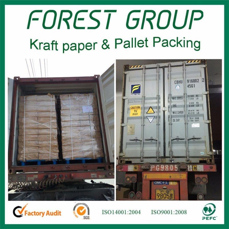 Foldable Large Custom Brown Shipping Box with CE