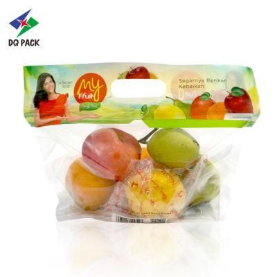 Customized Hot Sale Stand up Fruit Vent Bag with Zipper and Euro Hole