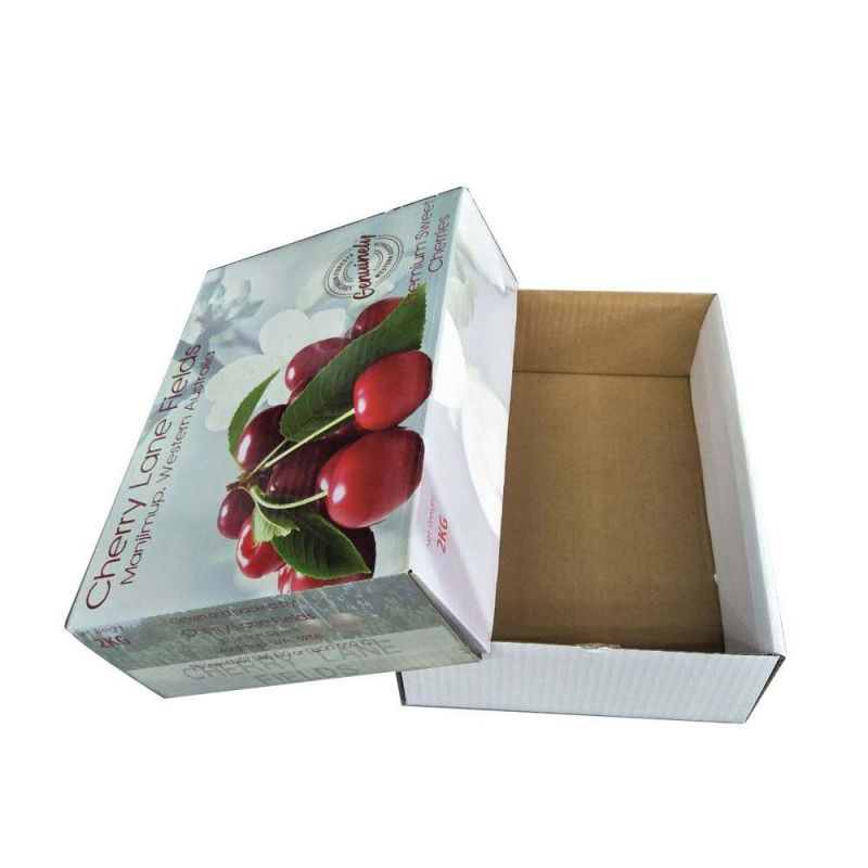 2019 Brand New Customized Printed Corrugated Paper Mailing Box for Packaging Fruits