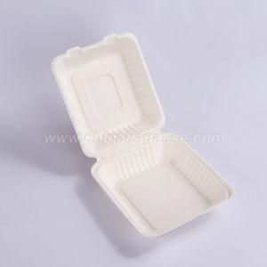 Biodegradable 8 Inch Bagasse Clamshell PLA Lamination