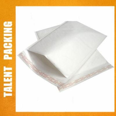 Mailing PVC Plastic Packaging File Folder Bubble Packaging Bag