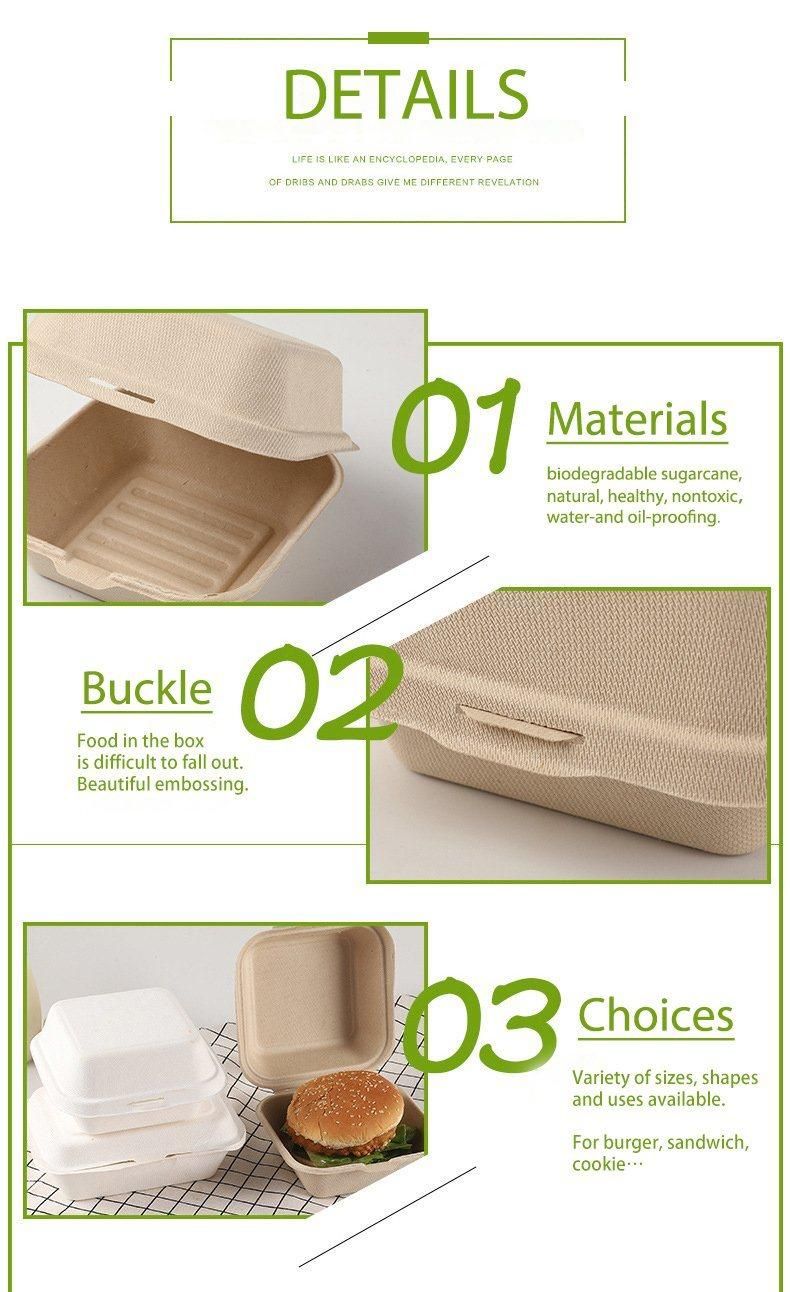 Disposable 5inch 6inch Bagasse Pulp Compostable Clamshell Food Packing Box