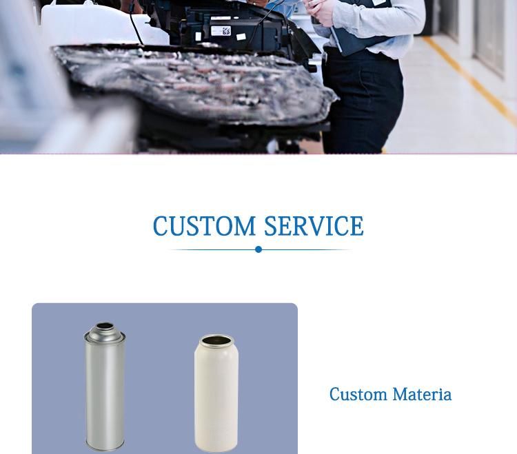Custom Design China Wholesale Aluminium Can Aerosol with Spray Nozzles