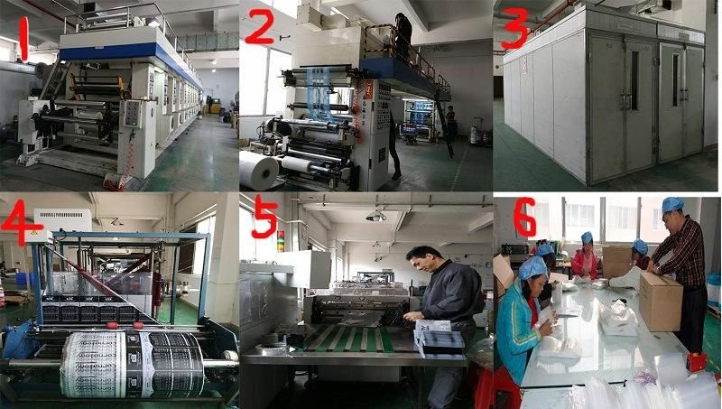 Printing Plastic Zipper Bag for Food Packaging