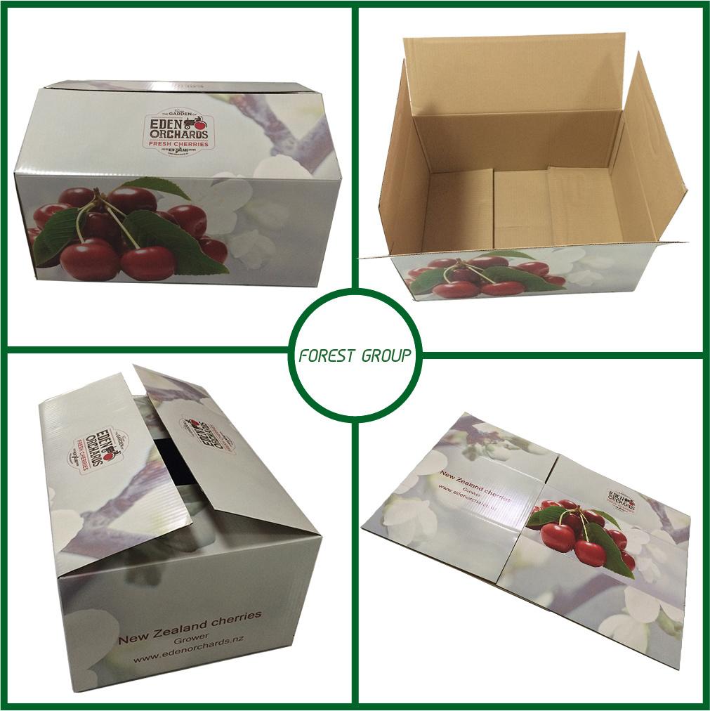 5kg Fruit Carton Cherry Box Folding Cardboard Corrugated Box