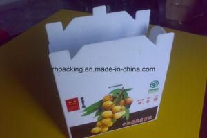 Recyclable Box Polypropylene Corflute Box/PP Polypropylene Fruit and Vegetable Plastic Carton Coroplast Box