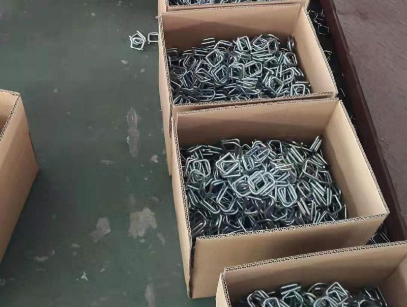 Galvanized Steel Wire Buckle for Pet Cordstrap