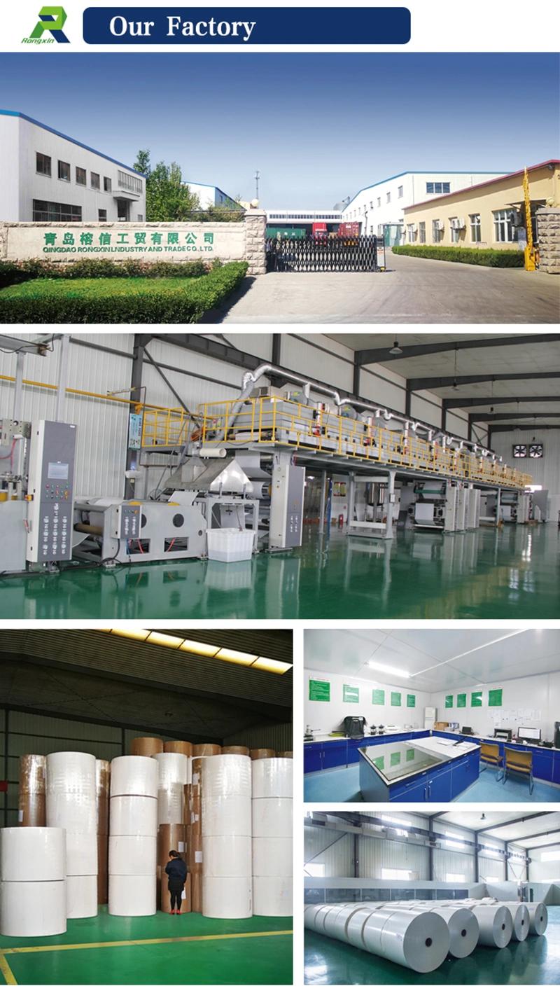 PE/PP/PLA Coated Paper for Food Wrapping and Packaging