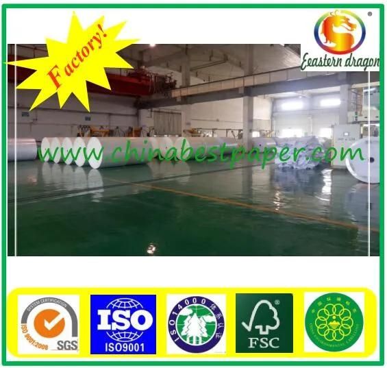Grade AA Paper Cup Base Paper factory wholesale