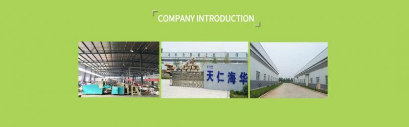 China Factory Green Environmental Durable Portable Hotsale Corn Starch Eco Friendly PLA Recycle Reusable Biodegradable Packaging Plastic Shopping Bags with Cert