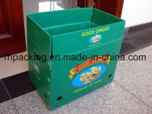 PP Plastic Box/Non-Leakage Design/Light in Weight But Durable/Cost Effective(Carton Lifespan Is 1-2 Times, Our Box Can Be up to 100 Times