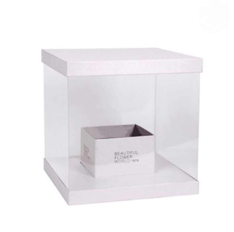 Clear Plastic Transparent Packing Favor Square Gift Boxes