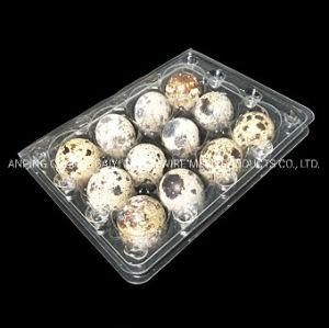 12 and 30 Plastic Quail Egg Tray Quail Egg Cartons for Sale Quail Egg Packaging Box