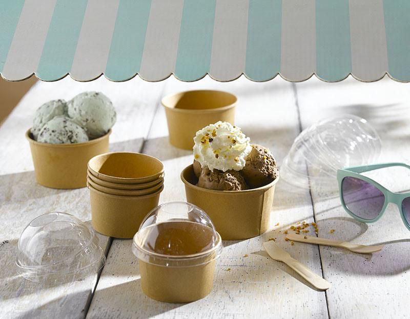 Sundae Scoop Ice Cream PE Lined Inside & Outside Containers with Spoon