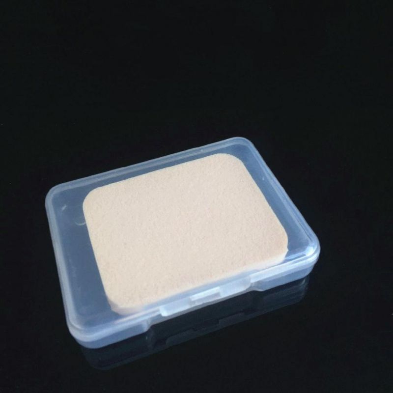 Chinese Clear Polystyrene Boxes Plastic Packaging Nut Container Box for Double Eyelid Stickers