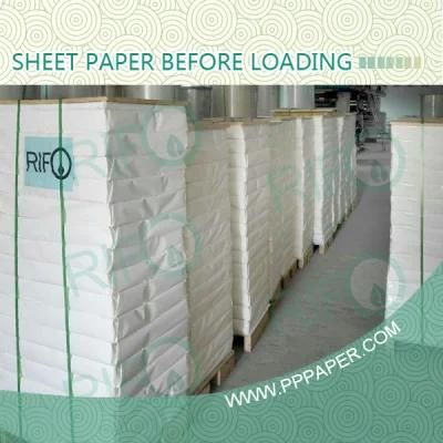 High Quality Grease-Proof Matt PP Paper for Inkjet Media