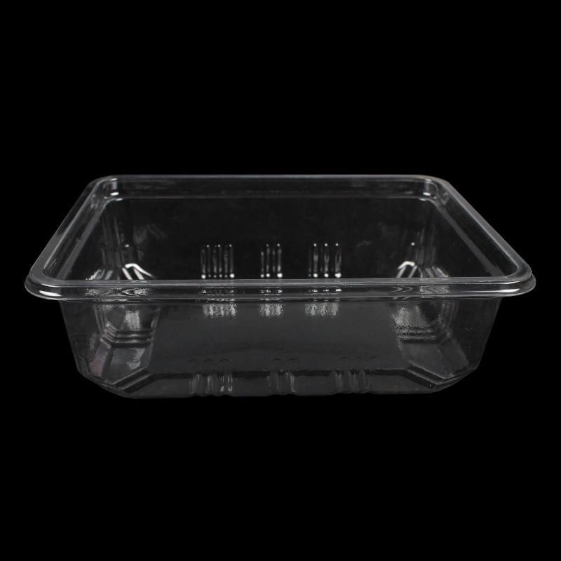 eco-friendly plastic disposable packaging food vegetable tray(PP tray)