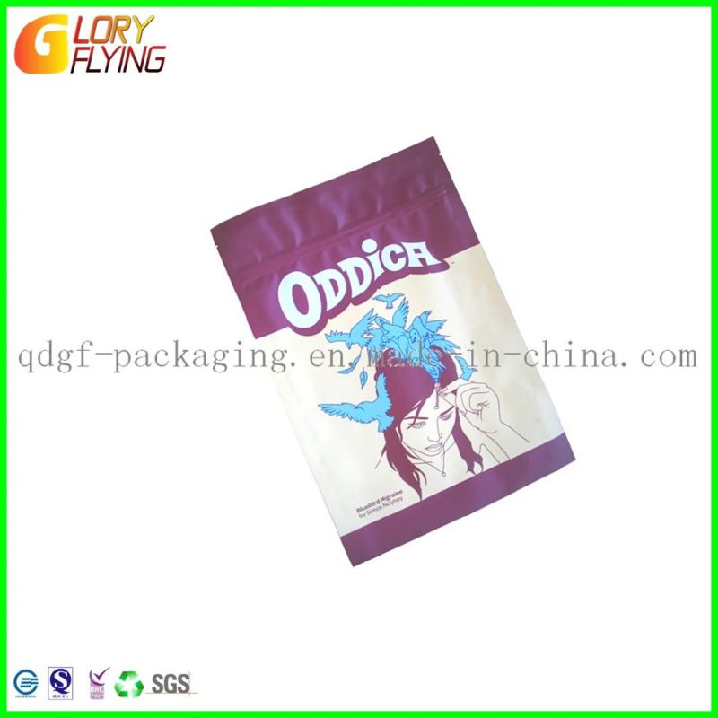 Plastic Packaging Bags for Garment /Zip Lock Bag