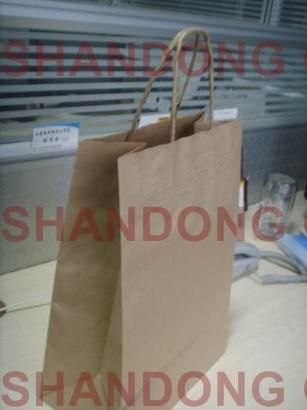 Hot Sale 100% Eco-Friendly Kraft Paper Bags with Custom Logo Printed for Packaging