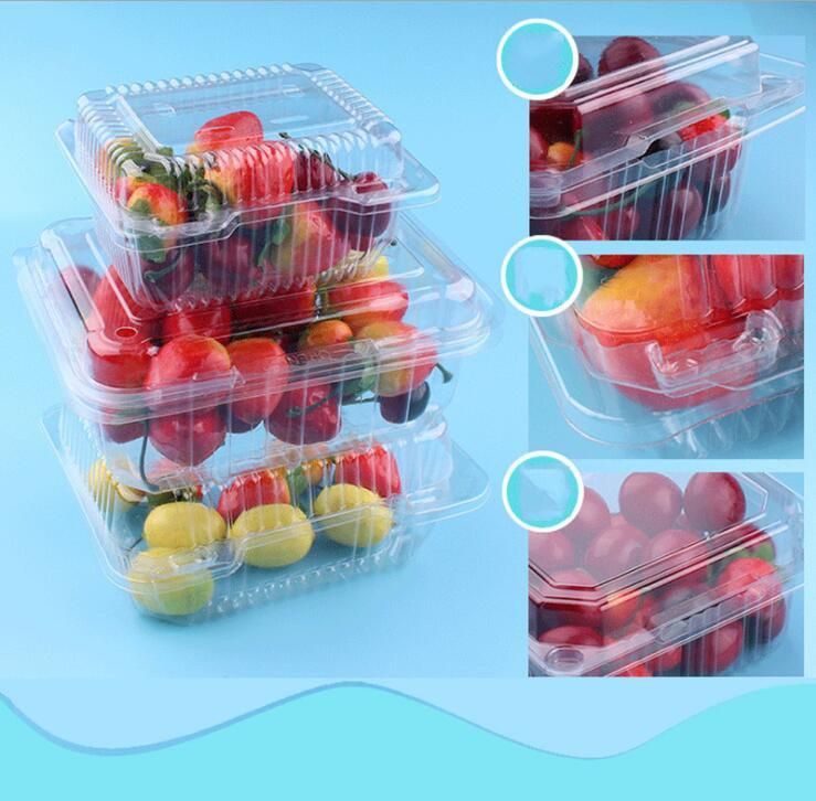 Clear universal  PET Fruit and  Food Container with EU regulation