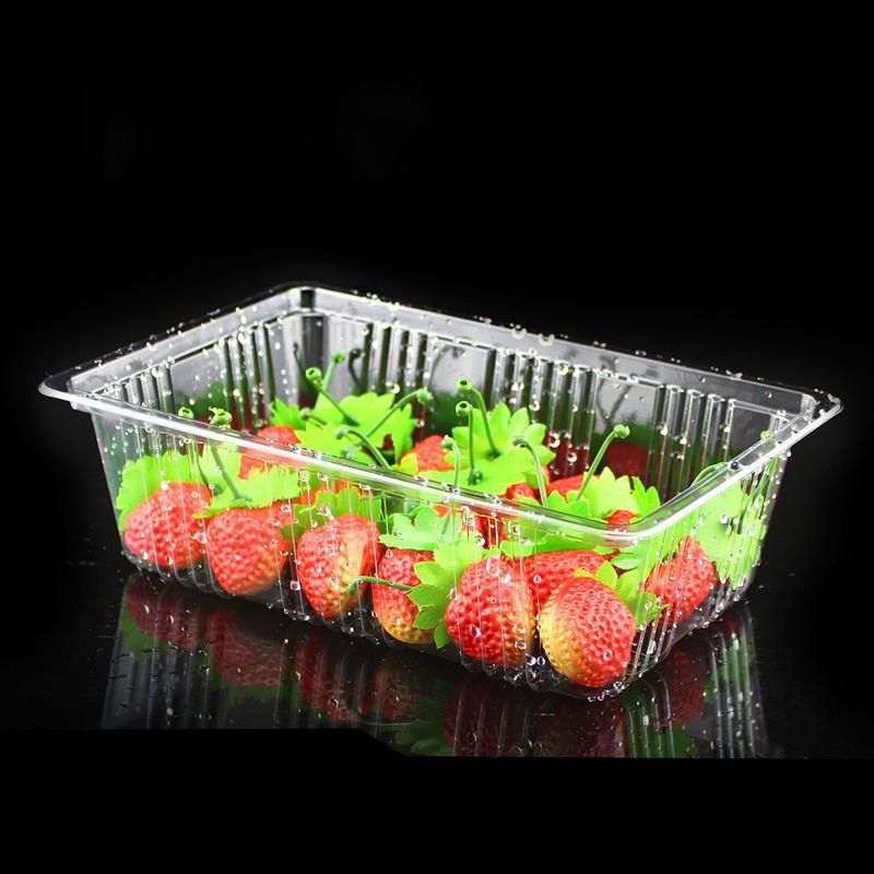 Disposable Plastic Food Container Packaging Party  Tray