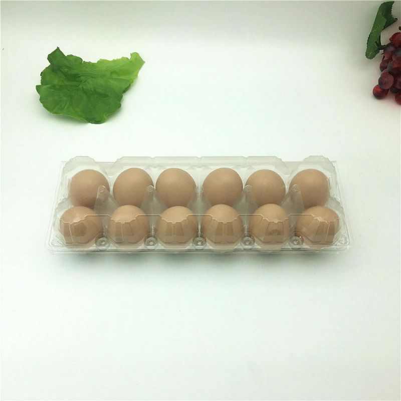 Pet Disposable Plastic 12holes Egg Tray Container