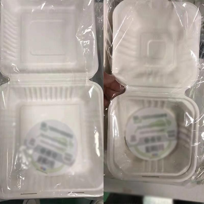 Watsonpak Freezer Safe Microwave Friendly Hinged Clamshell Take Away Containers Envases Ecologicos Sugarcane Bagasse CT5 Biodegradable Food Packaging Box