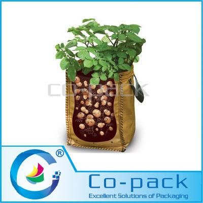 Potato Grow Bags in Garden Planter Growing