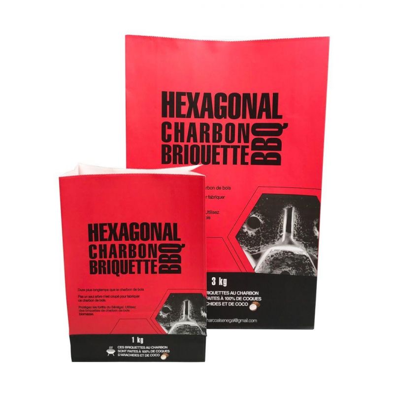 Customized Printing Design Service Charcoal Package Bag 2layer BBQ Briquettes Charcoal Packaging Kraft Paper Bag