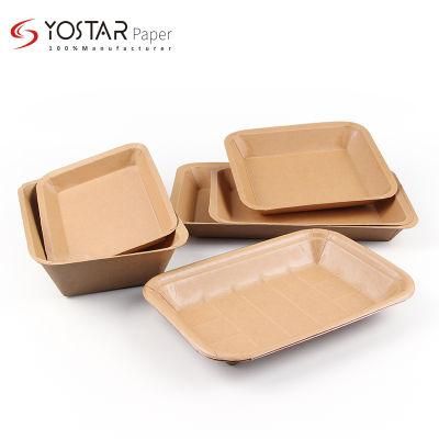 Custom Biodegradable Disposable Food Server Plate Platter Tray