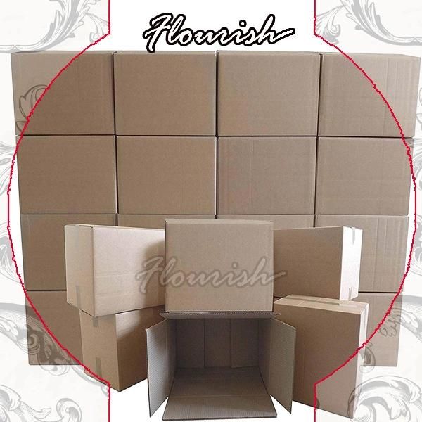 Brown Corrugated Cardboard Packaging Carton Box for Express Service and Mailing Purpose