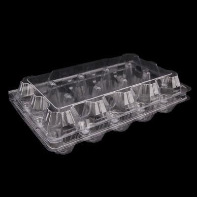 Factory Price 12 /24 Cells Clear Plastic Quail Egg Tray