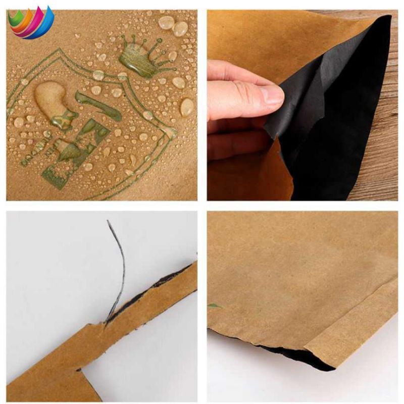 China Manufacturer Mango Paper Cover Growing Protection Paper Bag