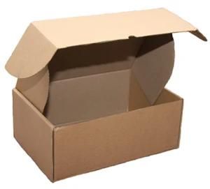 Cardboard Carton Box